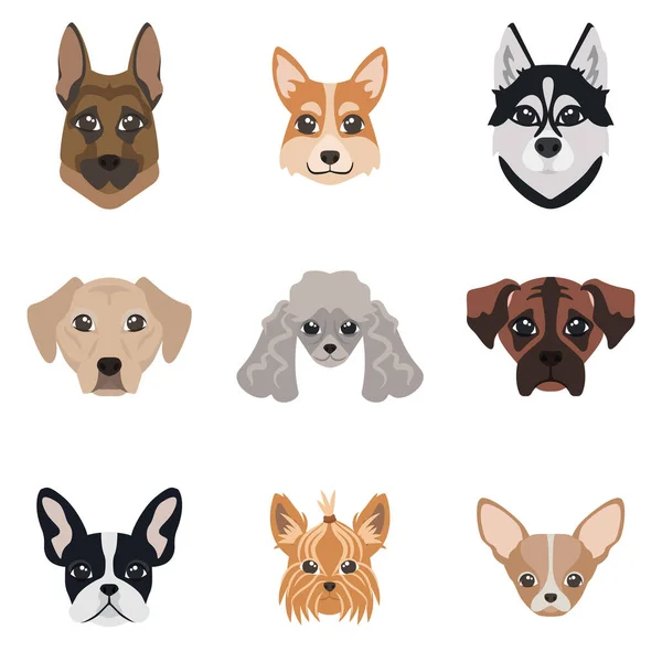 犬の顔のコレクション 異なる品種のセット — ストックベクタ