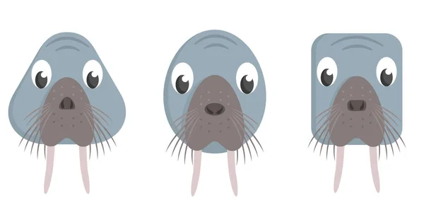 Conjunto Morsas Dibujos Animados Diferentes Formas Caras Animales — Archivo Imágenes Vectoriales