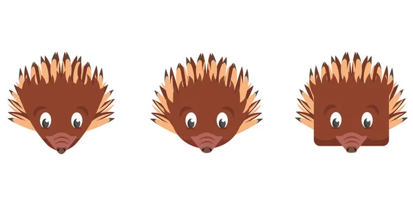 漫画のEchidnasのセット 動物の顔のさまざまな形 — ストックベクタ