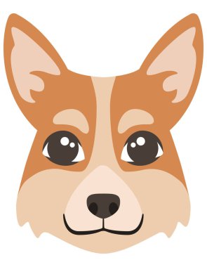 Corgi Dog 'un başı..