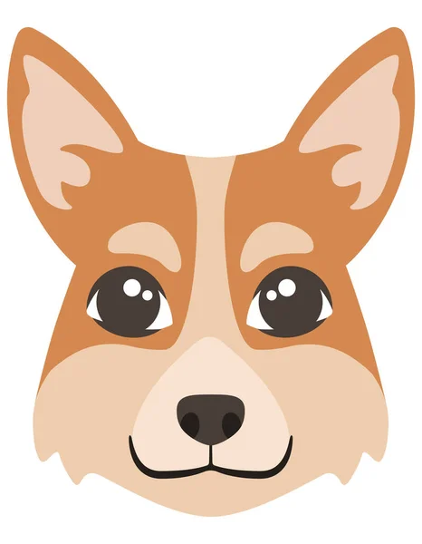 Hoofd van de Corgi hond. — Stockvector