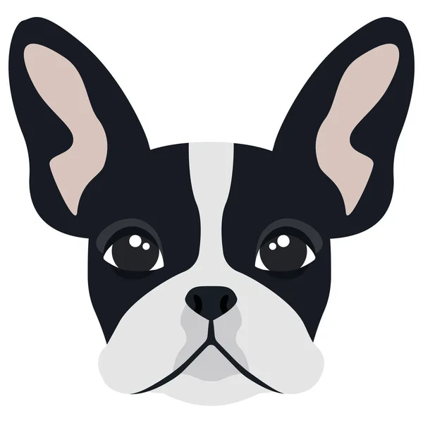 Head of French Bulldog. — Stock Vector