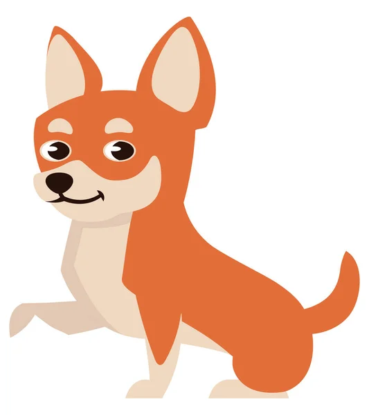 Chihuahua donnant patte. — Image vectorielle