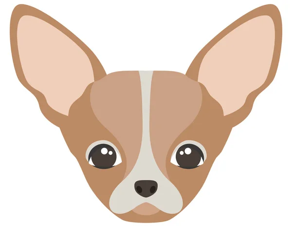 Chef de Chihuahua. — Image vectorielle