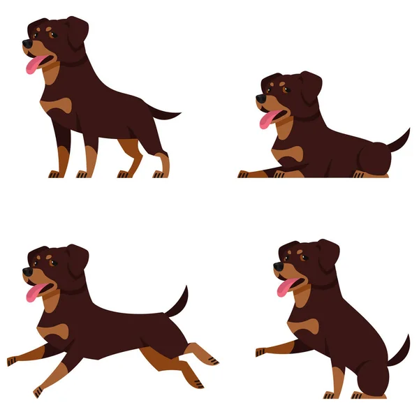 Rottweiler Poses Diferentes Cão Bonito Estilo Cartoon —  Vetores de Stock