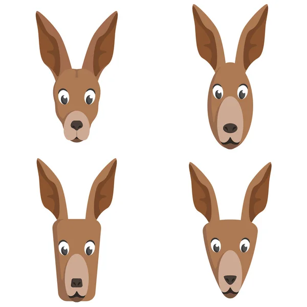 Conjunto Cangurus Desenhos Animados Diferentes Formas Cabeças Animais — Vetor de Stock