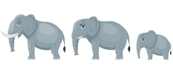 Elephant family side view. — Stock Vector