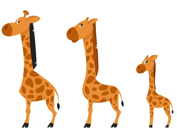 Familjevy över Giraffen. — Stock vektor