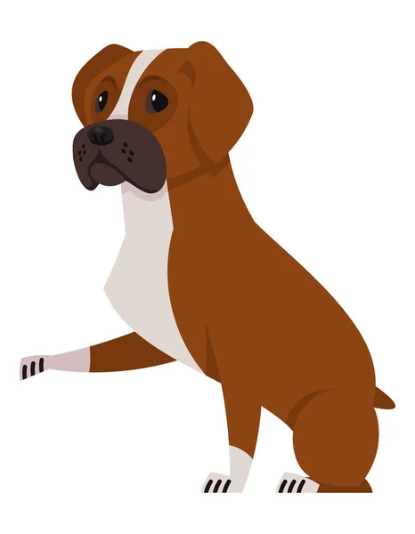 Boxer dog giving paw. — Stock Vector