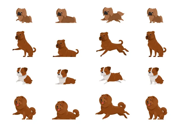 Juego de perros en diferentes poses. — Vector de stock