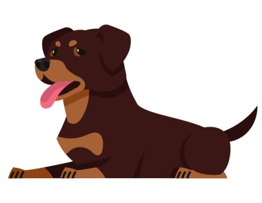  Rottweiler 'ın yan görüntüsü yalan. Çizgi film stilinde güzel bir hayvan..