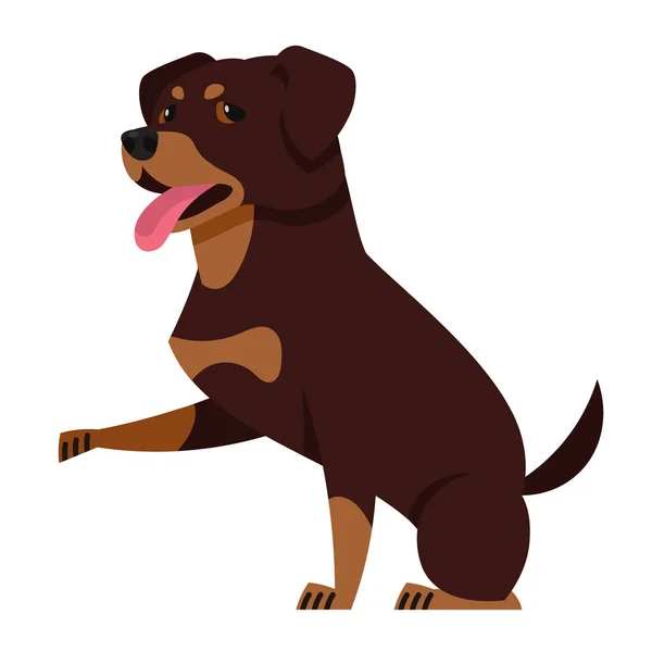 Rottweiler giving paw. — Stock Vector