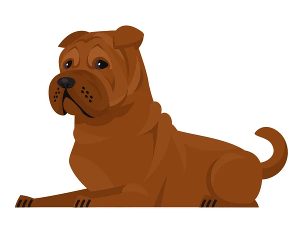 Lying Shar Pei. — Stock Vector