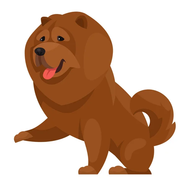 Chow Chow giving paw. — Stock Vector