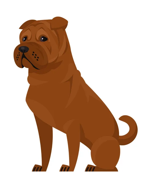 Sitting Shar Pei. — Stock Vector