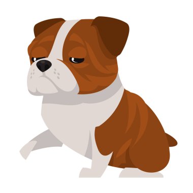 İngiliz bulldog pençesi.
