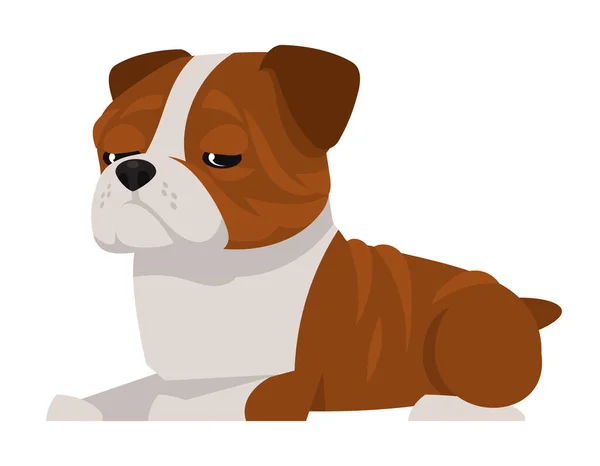 Lying English bulldog. — Stock Vector