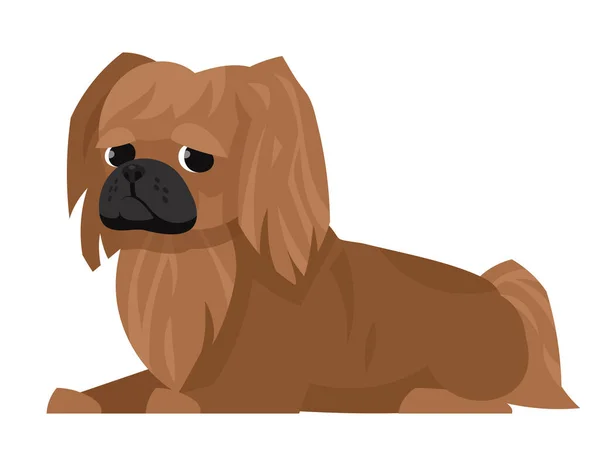 Lying pekingese side view. — Stock Vector