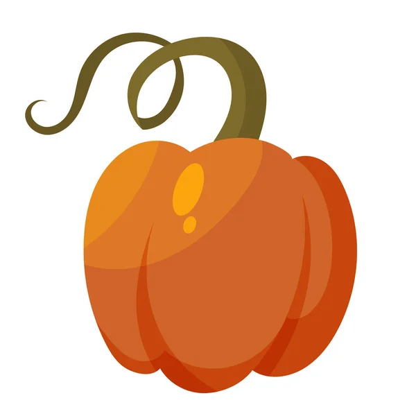 Calabaza naranja madura. — Vector de stock