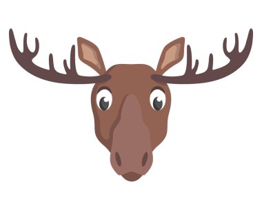 Geyik yüz ön görünümü.