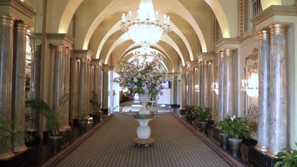 Lobby Luxury Hotel Set Large Beautiful Vase Fresh Flowers Modern — Stock Video