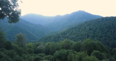 Yukarıdan bakıldığında, insansız hava aracı dağların ve vahşi yeşil ormanın üzerinden uçuyor. Doğa, seyahat, yürüyüş, tatil kavramı..