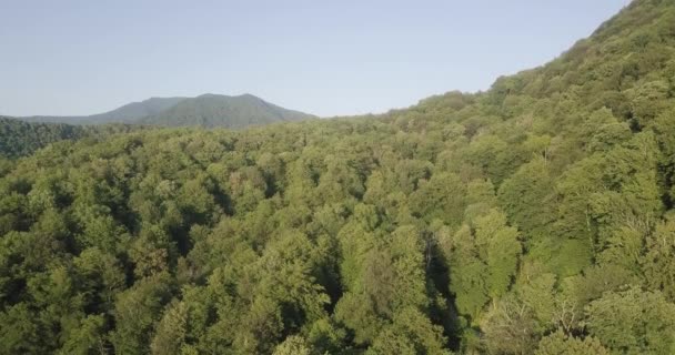 Vue Depuis Sommet Vol Drone Dessus Des Montagnes Forêt Verte — Video