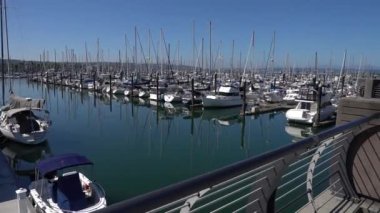 Tekneler ve yatlar, yan manzara. Limana demirlemiş bir yat, yat ve yelkenli için park yeri. Everett Marina Limanı, WA, ABD
