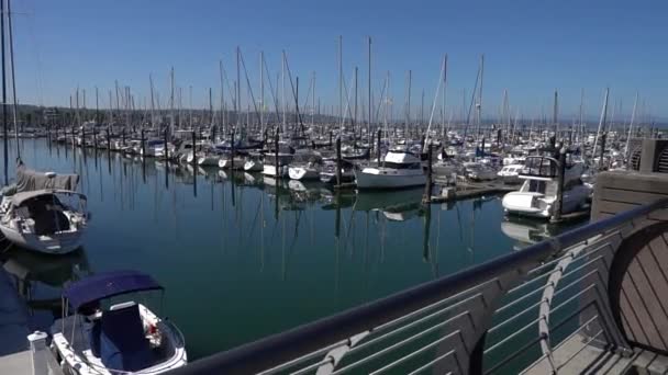 Boote Und Yachten Seitenansicht Parkplatz Für Yachten Einen Yachthafen Eine — Stockvideo