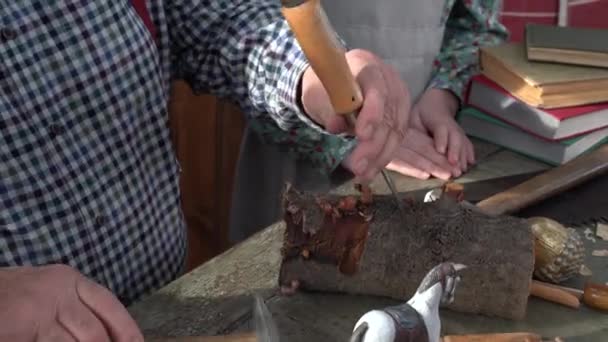 Création Pinocchio Dans Atelier Menuiserie Ébéniste Gepetto Papa Carlo Contes — Video