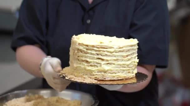 Pastry Chef Prepares Homemade Cake Culinary Baking Concept Cakes Butter — Stock Video