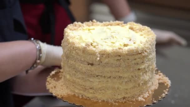 Pastry Chef Prepares Homemade Cake Culinary Baking Concept Cakes Butter — Stock Video
