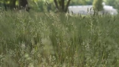 Pen Ryn Malikanesi, 275 yılı aşkın süredir Delaware Nehri 'nin kıyılarını şereflendiren tarihi nehir kenarı malikanesi Belle Voir Malikanesi' nin liman kenarı etkinliklerine ev sahipliği yapıyor..