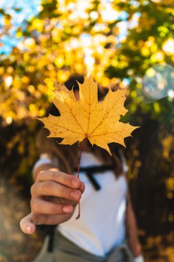 Sarı bir sonbahar yaprağı Genç bir kadının elinde