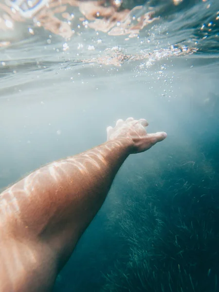 水晶般清澈的海水下 白种人手臂的竖直照片 底下有海藻 — 图库照片