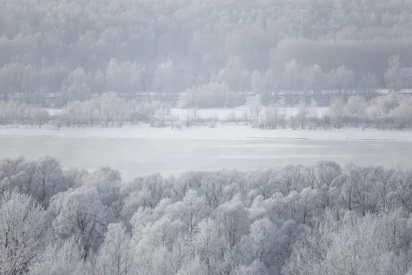 Paysage hivernal sur une rivière avec arbre gelé — Photo