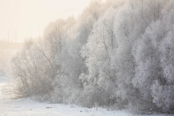 Paysage hivernal sur une rivière avec arbre gelé — Photo