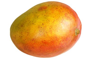 Kırmızı, turuncu, sarı izole edilmiş beyaz arka planda olgun bir mango..