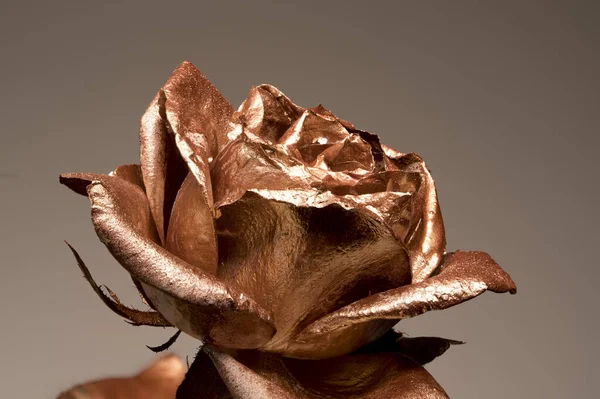 Fleur Rose Dorée Lumière Réfléchissante Brillante Peinture Métallique — Photo