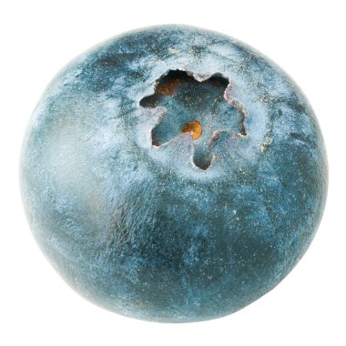 Beyaz arka planda yaban mersinli.