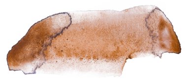 Beyaz arka plandaki suluboya kahverengi leke izole edilmiş. Boya ve suluboya kağıt desenli elementler. Kartpostal ve baskı tasarımı için arkaplan.