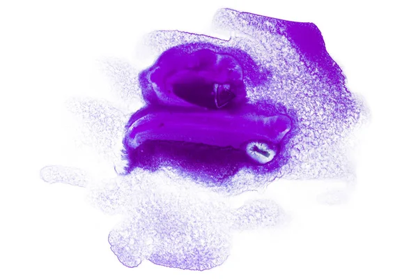 Teinte Aquarelle Violette Avec Texture Papier Sur Fond Blanc Isolé — Photo