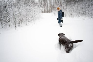 Labrador köpek kışı, efendisiyle kar yığınlarında yürür.