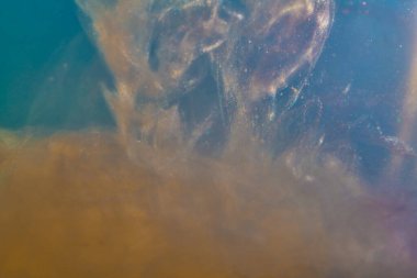 Su altının içindeki mürekkep boyası parlak suda patlamış, parçacıklar.