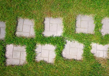 Çimenlerin üzerinde yürümek için taşlar, çimlerin üstünde patika