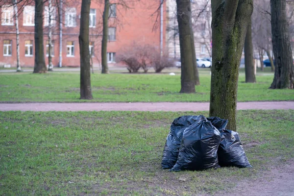 公園にゴミ袋がある 春に公園を掃除する 環境問題を抱えています — ストック写真