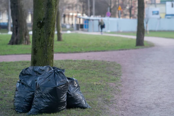 公園にゴミ袋がある 春に公園を掃除する 環境問題を抱えています — ストック写真