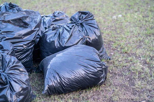春の掃除ゴミでいっぱいの黒いビニール袋 公園の掃除 — ストック写真