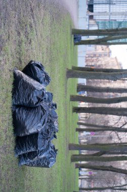 Bahar temizliği, çöp dolu siyah plastik çöp torbaları. Park çok fazla çöp temizliyor. Bir yığın çanta..