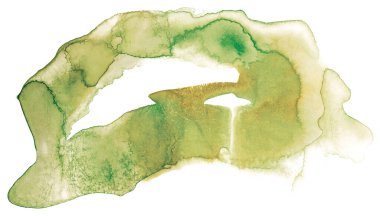 Yeşil suluboya sıçrama, leke, beyaz arkaplanda izole.